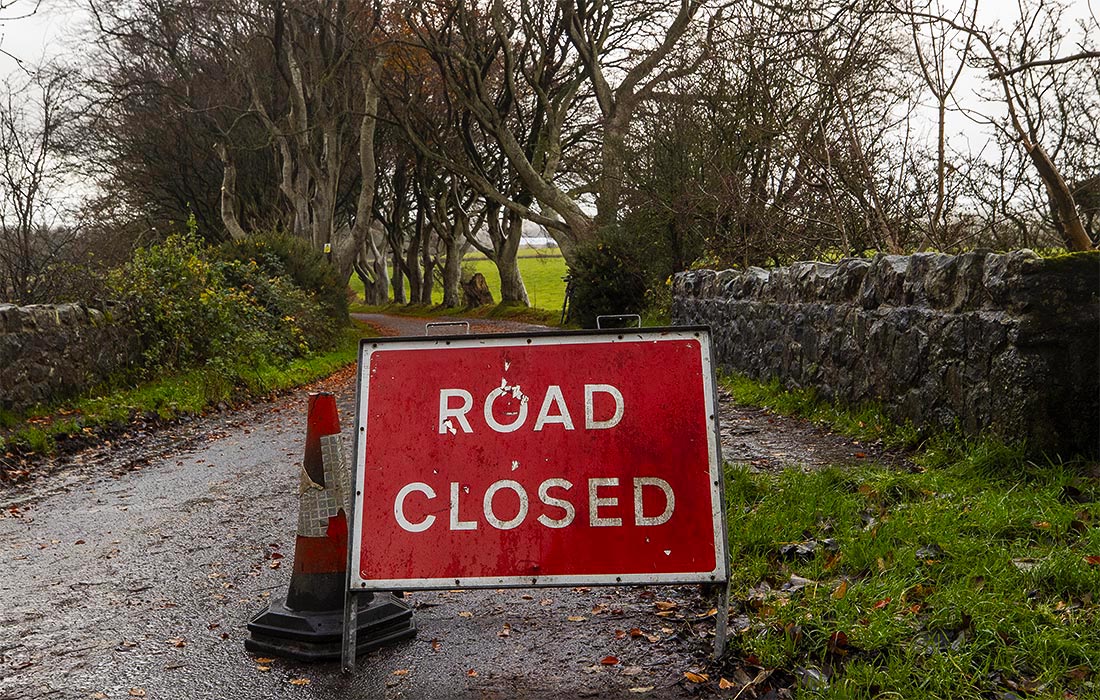 Буковую аллею Дарк Хеджес в Северной Ирландии временно закрыли, чтобы убрать шесть опасных для посетителей деревьев