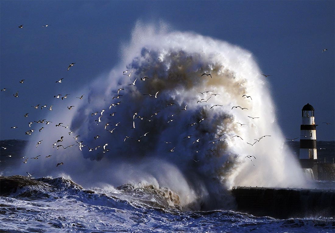 Маяк в заливе Сихэм, графство Дарем, снова оказался в эпицентре природной красоты