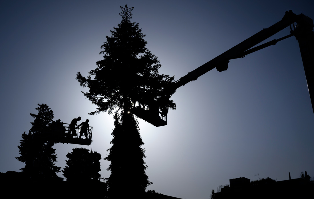 В центре Рима установили главную рождественскую елку