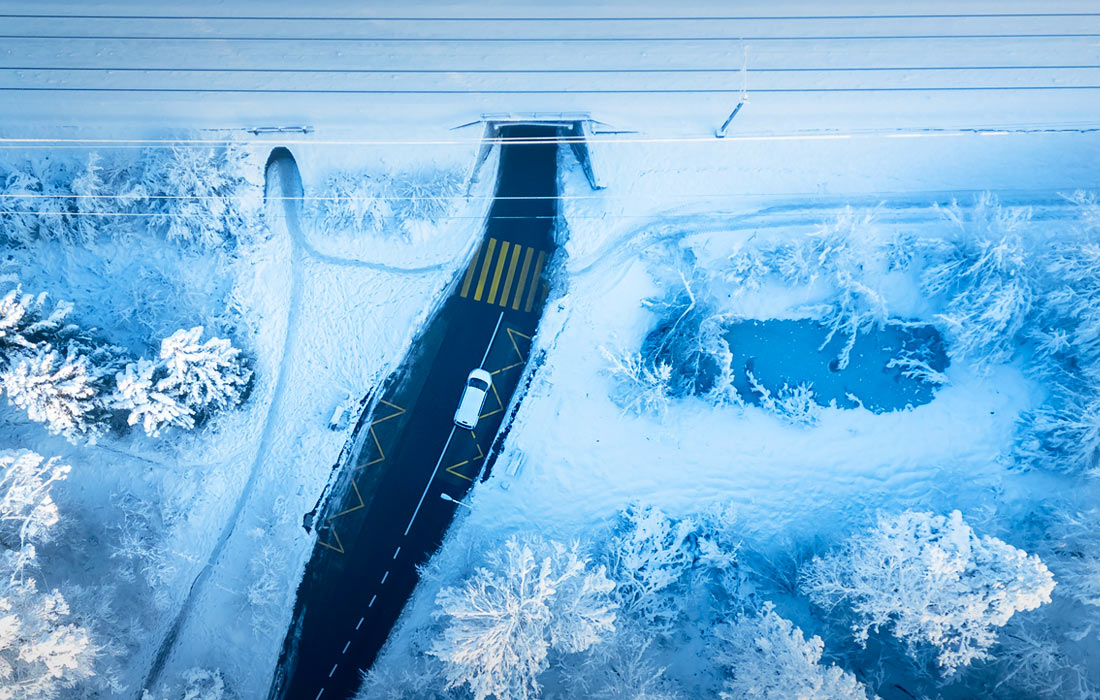 Снегопад в Цюрихе