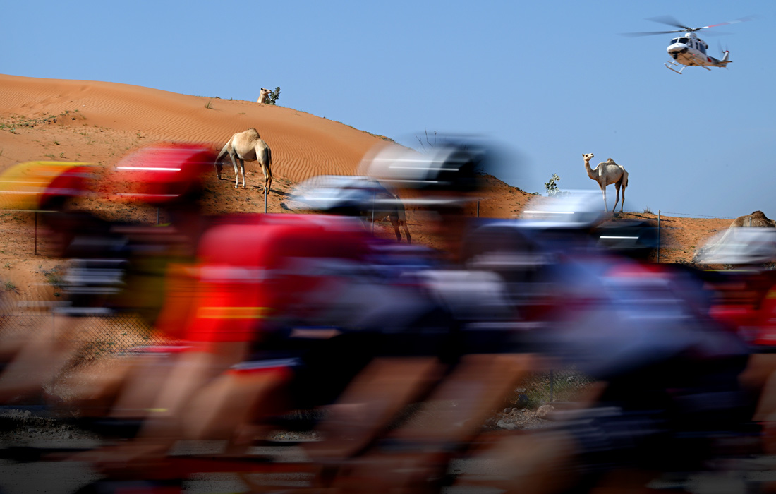 Велогонка в Объединенных Арабских Эмиратах