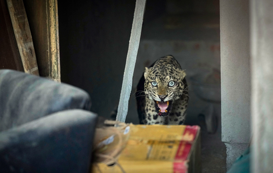 Фотохроника 19 декабря