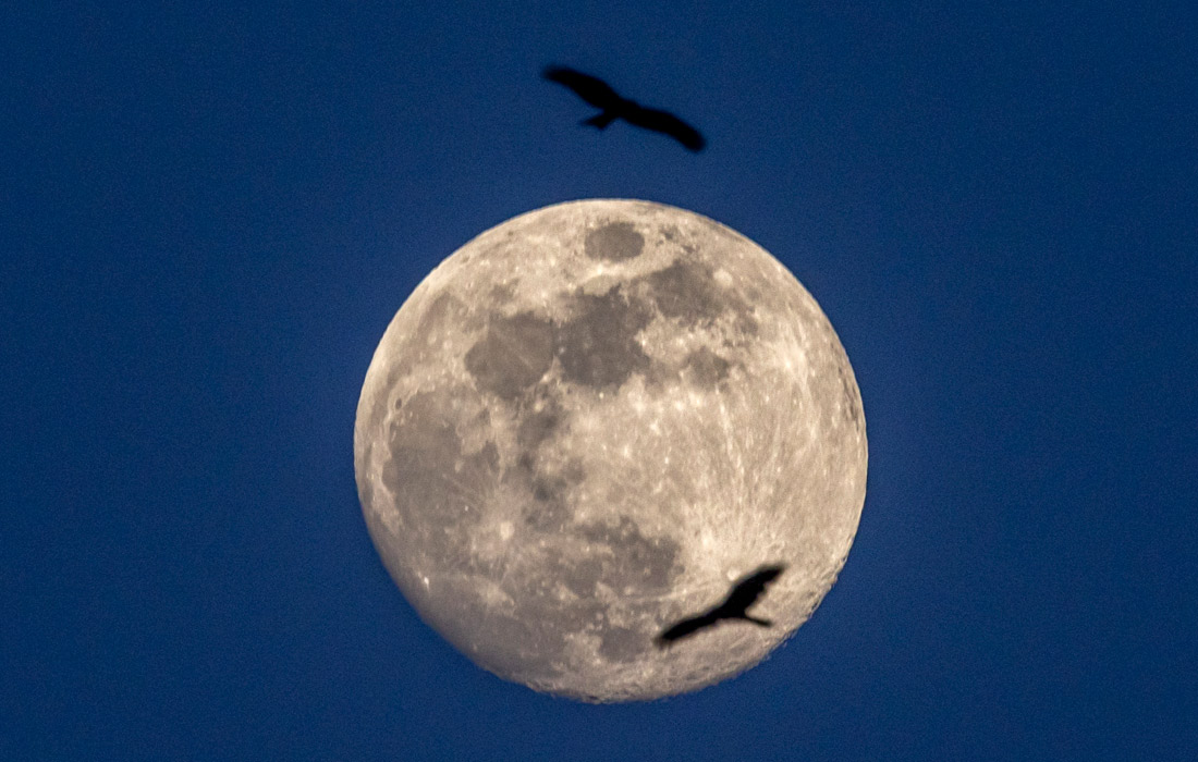 Луна над Катманду