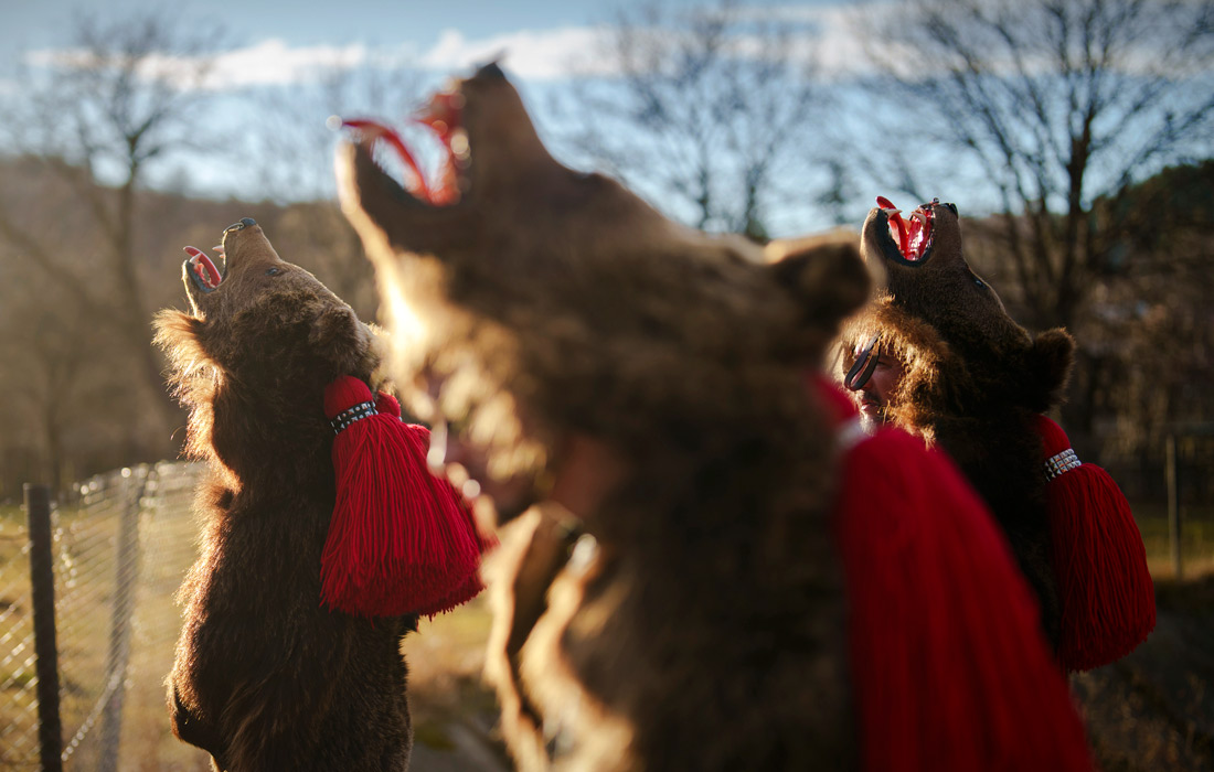 Ежегодные ритуальные танцы медведей в Румынии