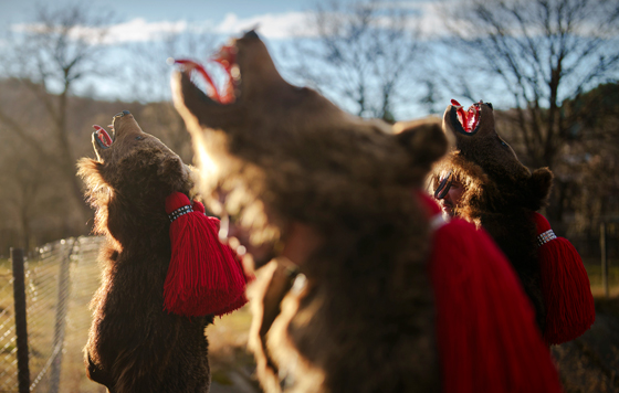 Фотохроника 27 декабря