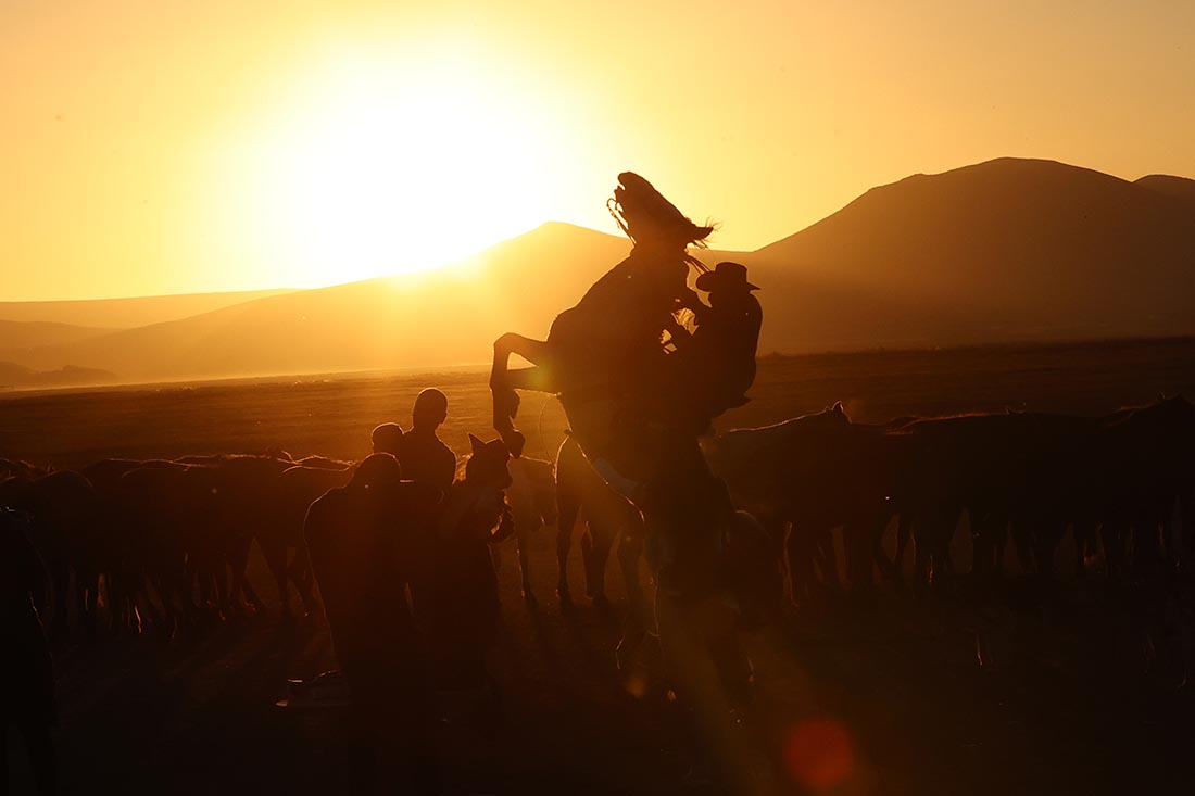 Дикие лошади на склонах турецкого Эрджиеса