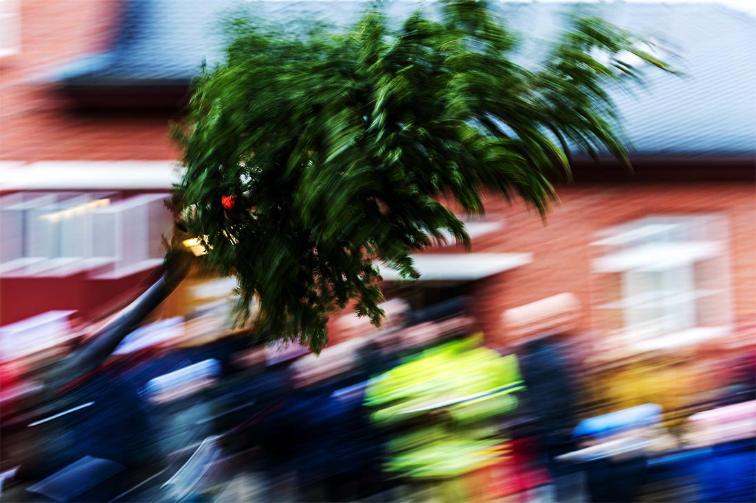 Соревнования по метанию елей в немецком Котбусе