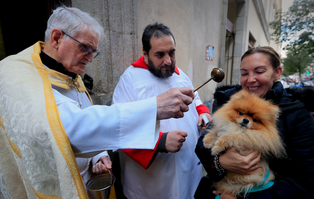 Благословение домашних животных в Мадриде в День святого Антония