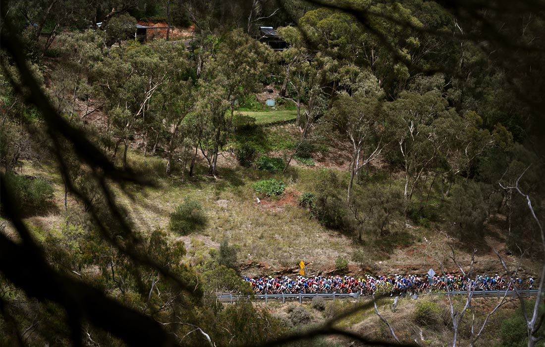 Второй этап велогонки "Сантос тур Даун Андер" в Австралии