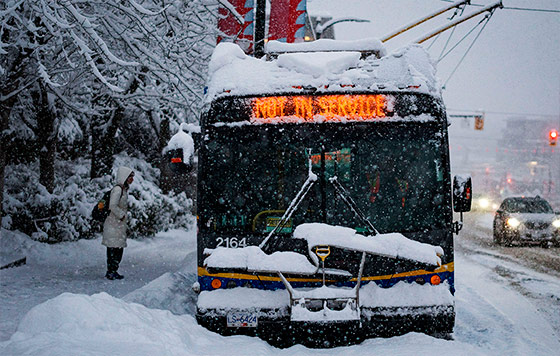 Фотохроника 18 января