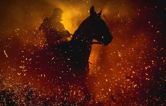 Лучшие фото недели