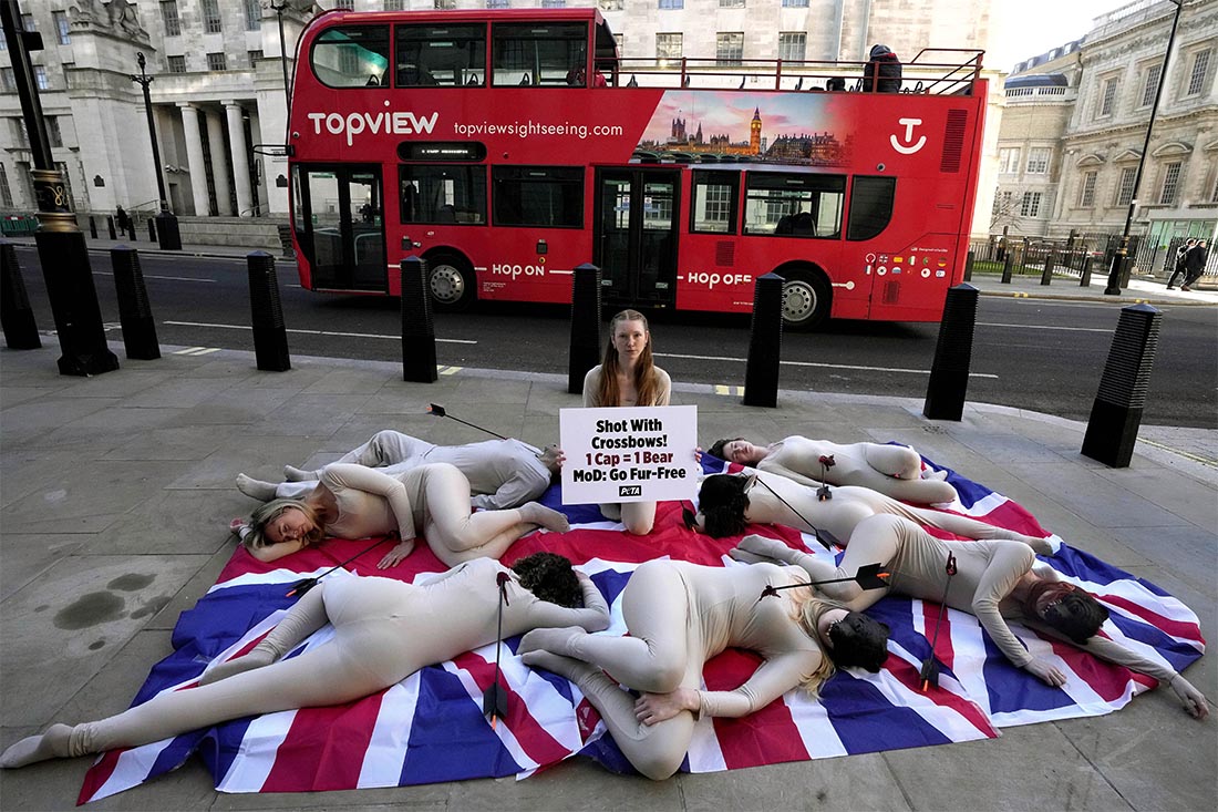 Акция зоозащитной организации PETA в Лондоне против убийства канадских черных медведей для изготовления меховых шапок Королевской гвардии