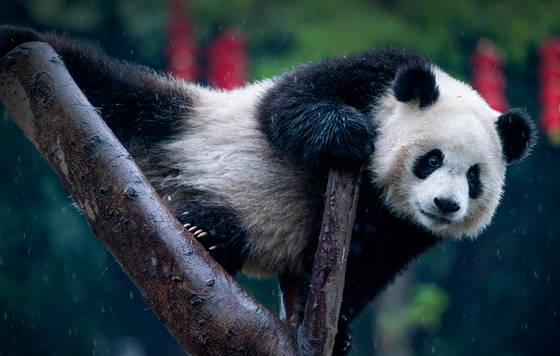 Фотохроника 22 января