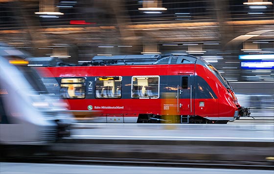 Фотохроника 29 января