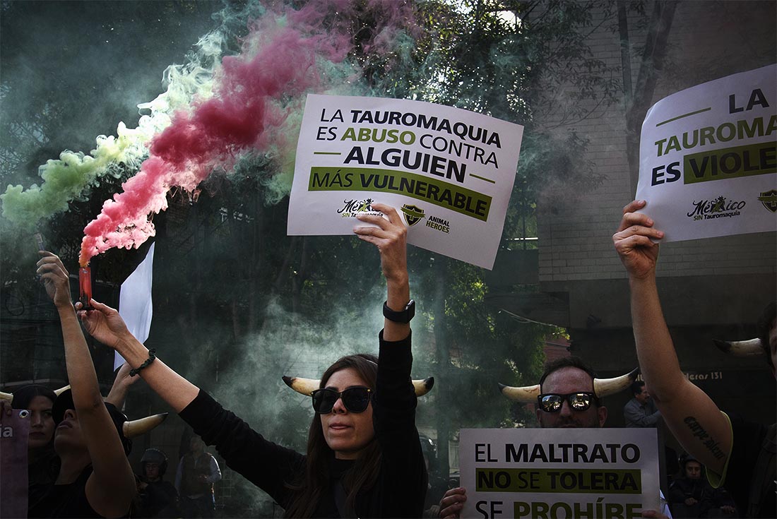 Массовые протесты в Мехико против возвращения корриды