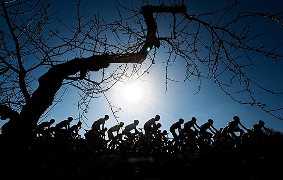 Фотохроника 31 января