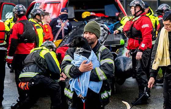 Фотохроника 5 февраля