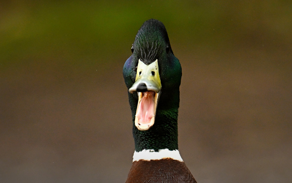 Фотохроника 15 февраля