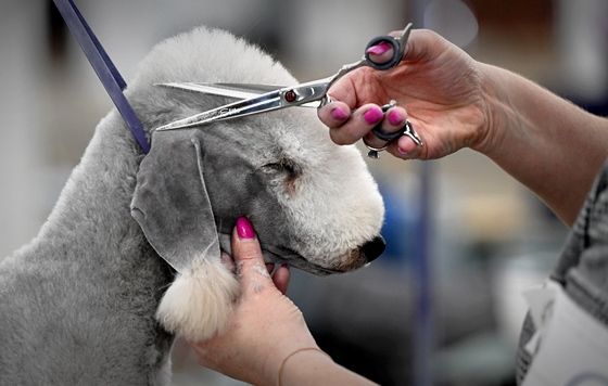 Фотохроника 19 февраля