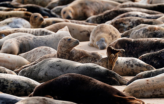 Фотохроника 29 февраля
