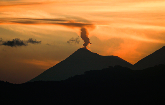 Фотохроника 1 февраля