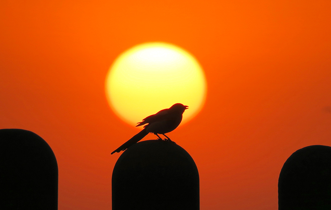 Восход солнца в Яньтае, Китай