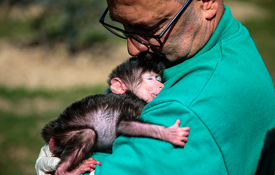 Лучшие фото недели