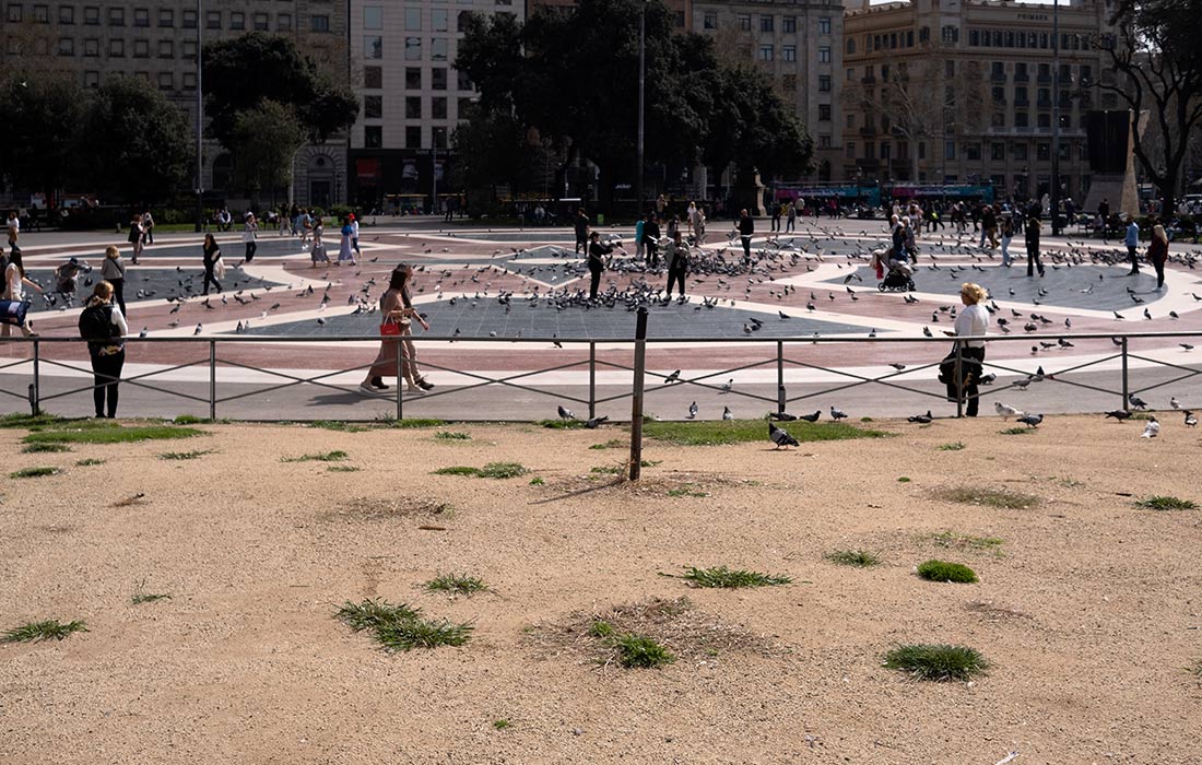 Засуха общественных садовых территорий в Барселоне
