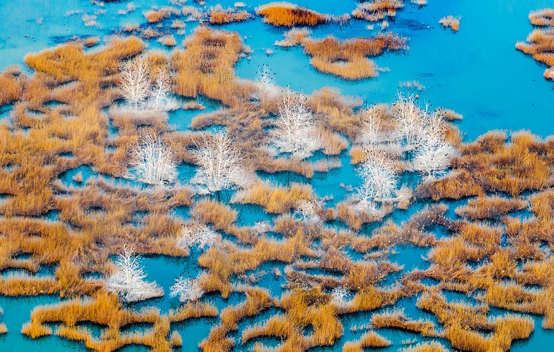 Водно-болотные угодья водохранилища Аньфэншань в Китае