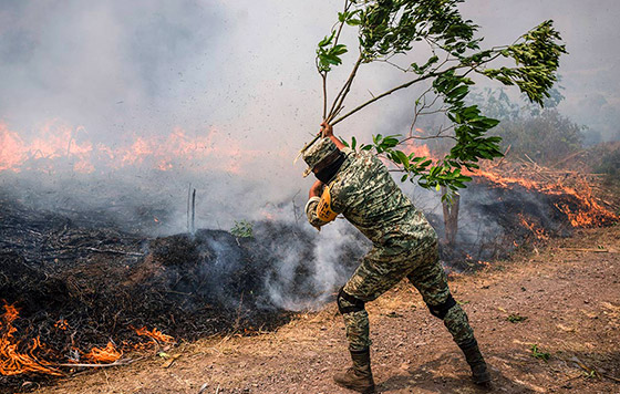 Фотохроника 26 марта