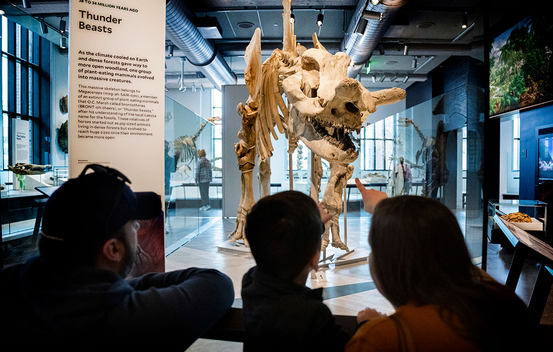 Музей естественной истории Пибоди Йельского университета в Нью-Хейвене открылся после реконструкции