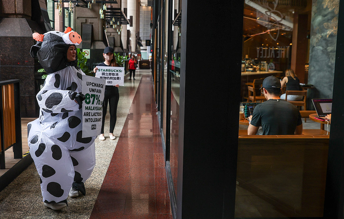 Активисты за этичное обращение с животными около кофейни Starbucks в Куала-Лумпуре