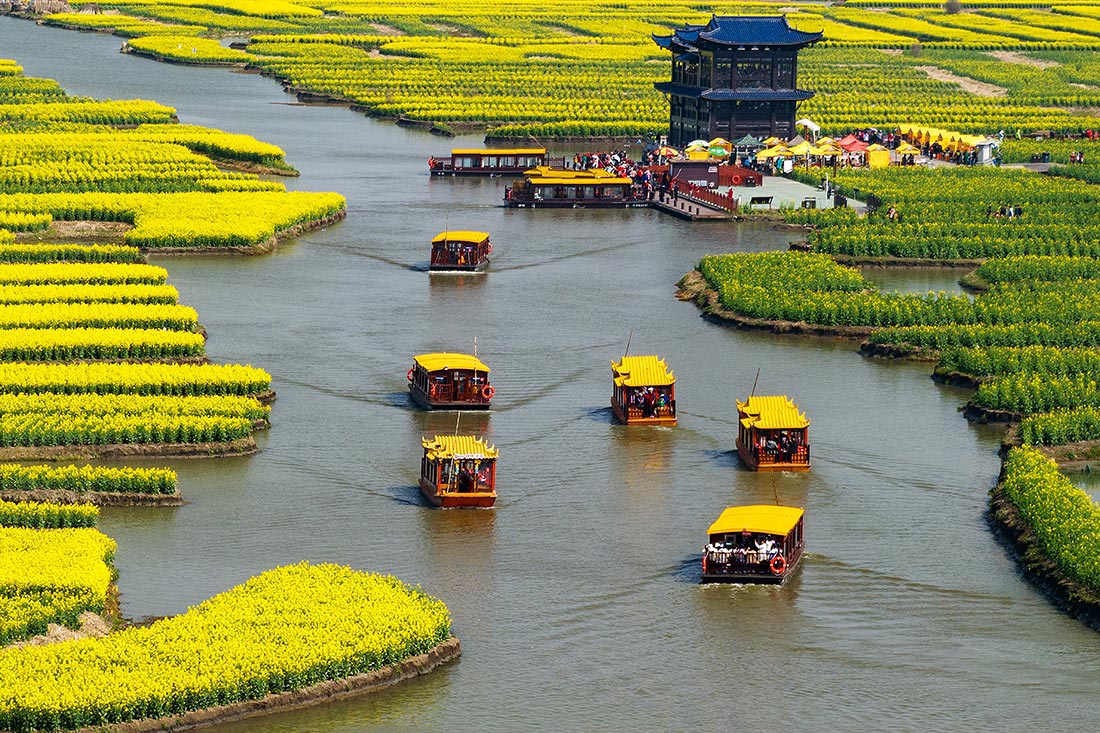 Цветение рапса в Синьхуа