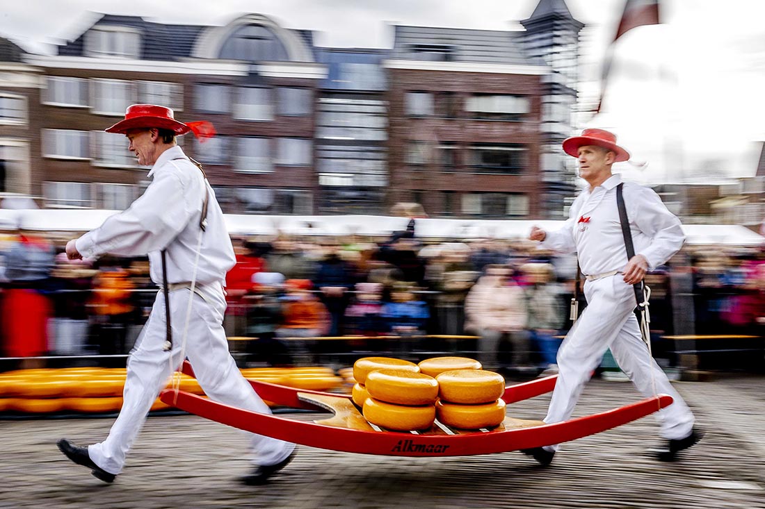 Сезон продажи сыра стартовал на традиционном пятничном рынке в нидерландском городе Алкмар