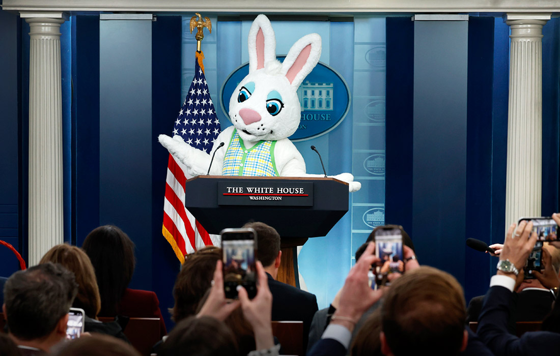 Выступление пасхального белого кролика в Белом доме в Вашингтоне