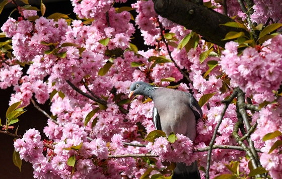 Фотохроника 9 апреля