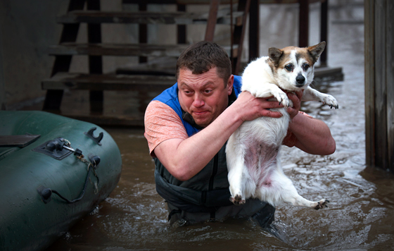 Спасение животных в Оренбуржье