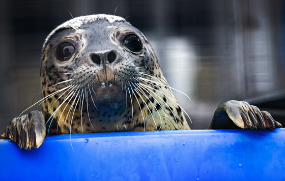 Фотохроника 11 апреля