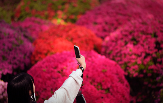 Фотохроника 15 апреля