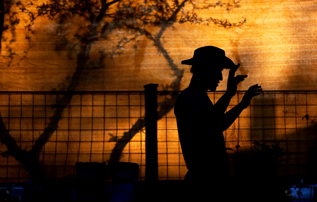 Закат на фермерском рынке в Тусоне, США