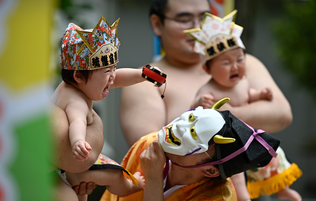 Традиционный фестиваль плачущих младенцев "Наки Сумо" в Японии