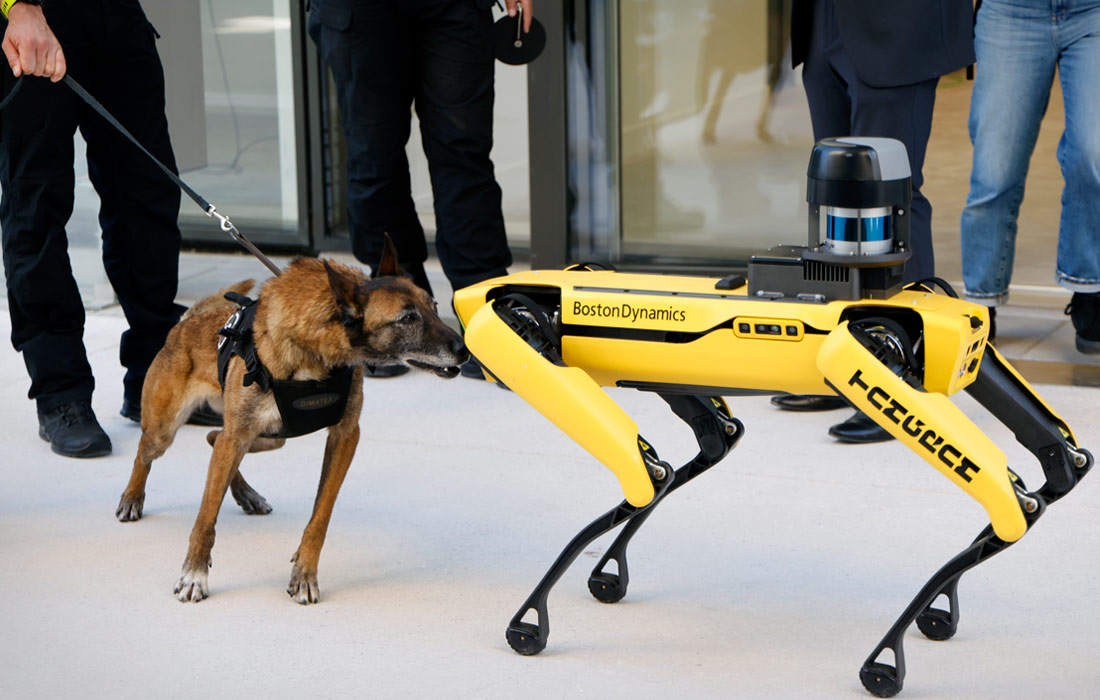 Полицейская собака осматривает робота-собаку Boston dynamics в инновационном и образовательном кампусе в Марселе, Франция