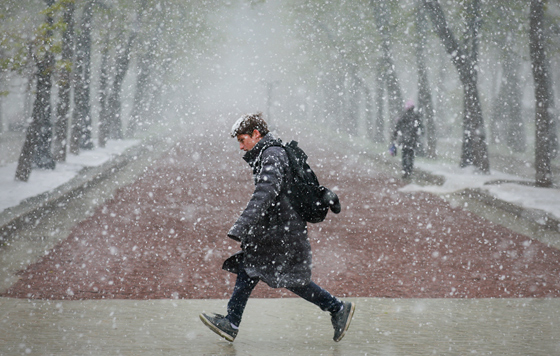 Снег в Москве