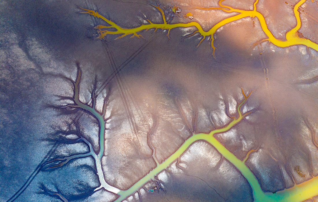 Водно-болотные угодья Желтого моря в городе Яньчэн, Восточный Китай