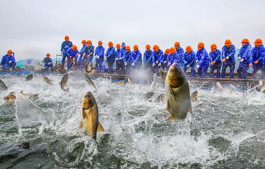 Рыбаки на озере Цяньдао, Китай