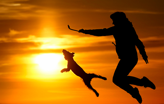 Лучшие фото недели