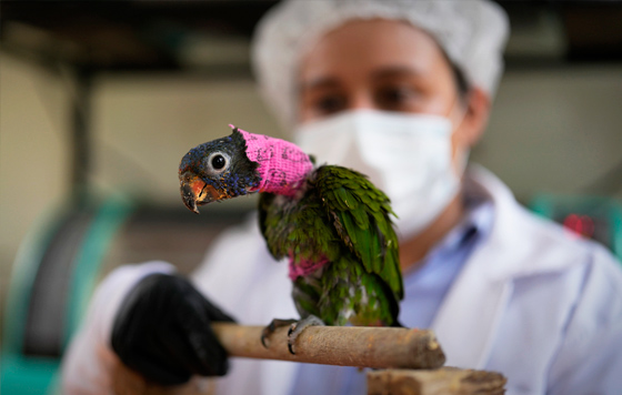 Фотохроника 23 мая