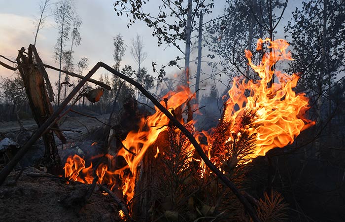 Режим ЧС федерального уровня введен в Забайкалье и Бурятии из-за лесных пожаров
