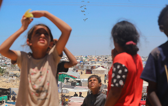 Фотохроника 31 мая