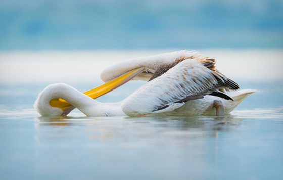 Лучшие фото недели
